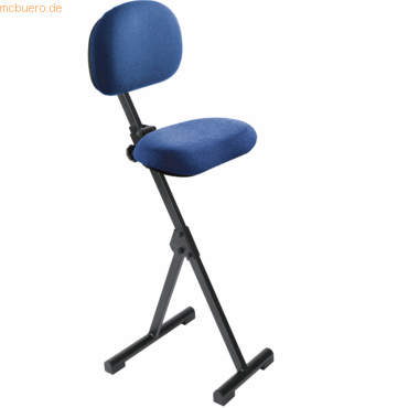 4260046926801 - Meychair Stehhilfe 11022 AF-SR-ST bl 4260046926801 Mey Systems 4260046926801 - Meychair Stehhilfe 11022 AF-SR-ST bl 4260046926801 Mey Systems