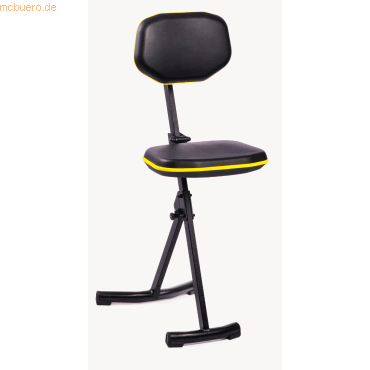 4262367690430 - Meychair Stehhilfe 88010201 AF30-SR-010201 swge 4262367690430 Mey Systems 4262367690430 - Meychair Stehhilfe 88010201 AF30-SR-010201 swge 4262367690430 Mey Systems