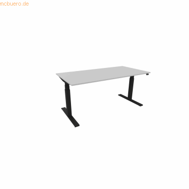 5901747153927 - Schreibtisch eModel 30 810073394 elektrisch höhenverstellbar 65-131cm (H) 160x80cm (BxT) rechteckig platinum schwarz 590 5901747153927 - Schreibtisch eModel 30 810073394 elektrisch höhenverstellbar 65-131cm (H) 160x80cm (BxT) rechteckig platinum schwarz 590