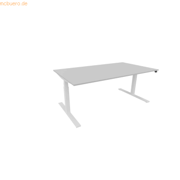 5901747154122 - Schreibtisch eModel 30 810073694 elektrisch höhenverstellbar 65-131cm (H) 180x100cm (BxT) rechteckig platinum weiß 59017 5901747154122 - Schreibtisch eModel 30 810073694 elektrisch höhenverstellbar 65-131cm (H) 180x100cm (BxT) rechteckig platinum weiß 59017