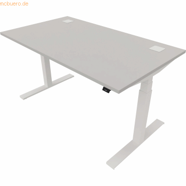5901747154399 - Schreibtisch eModel 20 810075394 elektrisch höhenverstellbar 65-130cm (H) 140x80cm (BxT) rechteckig platinum weiß 590174 5901747154399 - Schreibtisch eModel 20 810075394 elektrisch höhenverstellbar 65-130cm (H) 140x80cm (BxT) rechteckig platinum weiß 590174