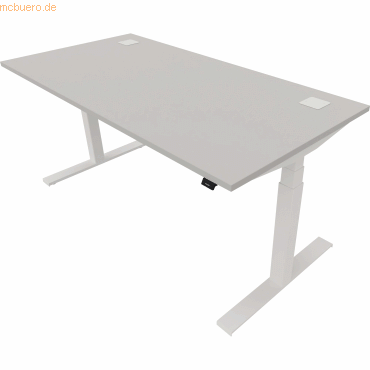5901747154467 - Schreibtisch eModel 20 810075594 elektrisch höhenverstellbar 65-130cm (H) 160x80cm (BxT) rechteckig platinum weiß 590174 5901747154467 - Schreibtisch eModel 20 810075594 elektrisch höhenverstellbar 65-130cm (H) 160x80cm (BxT) rechteckig platinum weiß 590174
