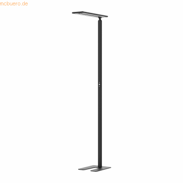 7612176092326 - LED Stehleuchte Larimar verstell- & drehbar Energieeffizienzklasse E 81 Lumen 4000 K H 1997 mm schwarz 7612176092326 - LED Stehleuchte Larimar verstell- & drehbar Energieeffizienzklasse E 81 Lumen 4000 K H 1997 mm schwarz