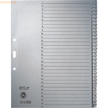 10 x Leitz Register A4 1-31 100g/qm grau