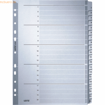 Leitz Register A4 1-20 160g/qm Karton grau
