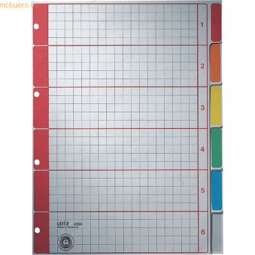 Leitz Register A4 blanko 230g/qm Karton grau 6-teilig