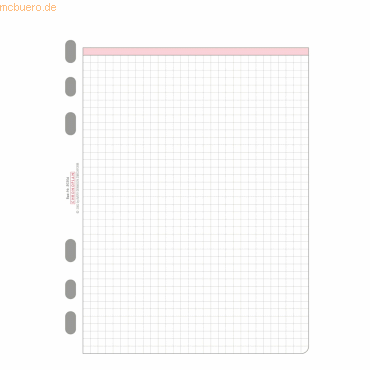 Chronoplan Formblätter kariert A5 VE=50 Stück