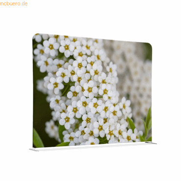 8596052168468 - Showdown Raumteiler 200x150cm Weiße Blume Spirea 8596052168468 Showdown Displays 8596052168468 - Showdown Raumteiler 200x150cm Weiße Blume Spirea 8596052168468 Showdown Displays