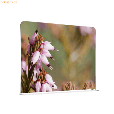 8596052168482 - Showdown Raumteiler 200x150cm Pinke Blume Erica 8596052168482 Showdown Displays 8596052168482 - Showdown Raumteiler 200x150cm Pinke Blume Erica 8596052168482 Showdown Displays