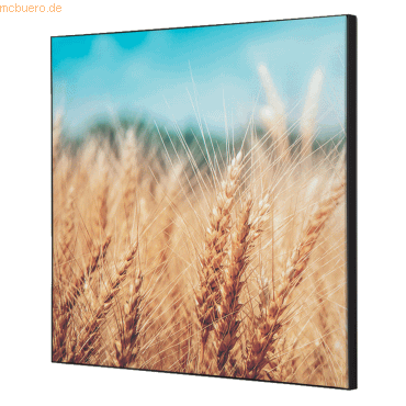 8596052181108 - Showdown Wanddekoration Set 40x40cm Getreidefeld 8596052181108 Showdown Displays 8596052181108 - Showdown Wanddekoration Set 40x40cm Getreidefeld 8596052181108 Showdown Displays