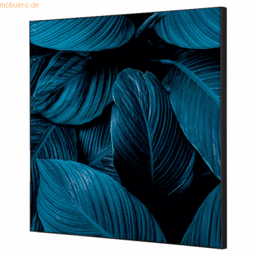 8596052181252 - Showdown Wanddekoration Set 40x40cm Blätter bl 8596052181252 Showdown Displays