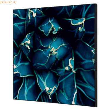 8596052181351 - Showdown Wanddekoration Set 40x40cm Kaktus bl 8596052181351 Showdown Displays 8596052181351 - Showdown Wanddekoration Set 40x40cm Kaktus bl 8596052181351 Showdown Displays