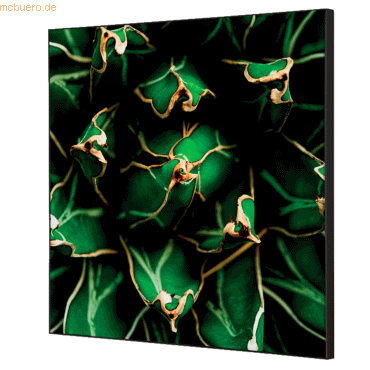 8596052181368 - Showdown Wanddekoration Set 40x40cm Kaktus gn 8596052181368 Showdown Displays 8596052181368 - Showdown Wanddekoration Set 40x40cm Kaktus gn 8596052181368 Showdown Displays