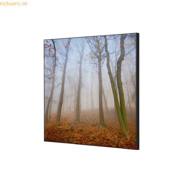 8596052181399 - Showdown Wanddekoration Set 40x40cm Herbstnebel 8596052181399 Showdown Displays 8596052181399 - Showdown Wanddekoration Set 40x40cm Herbstnebel 8596052181399 Showdown Displays