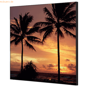 8596052181429 - Showdown Wanddekoration Set 40x40cm Palmen Sonnenuntergang 8596052181429 Showdown Displays 8596052181429 - Showdown Wanddekoration Set 40x40cm Palmen Sonnenuntergang 8596052181429 Showdown Displays