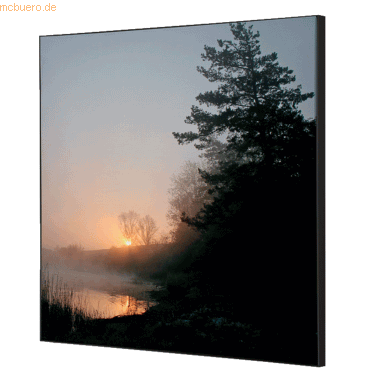 8596052181450 - Showdown Wanddekoration Set 40x40cm Wald Sonnenaufgang 8596052181450 Showdown Displays 8596052181450 - Showdown Wanddekoration Set 40x40cm Wald Sonnenaufgang 8596052181450 Showdown Displays