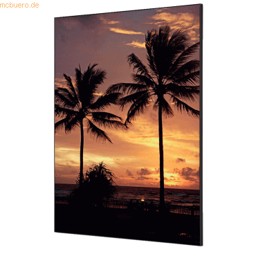 8596052181726 - Showdown Wanddekoration Set A1 Palmen Sonnenuntergang 8596052181726 Showdown Displays 8596052181726 - Showdown Wanddekoration Set A1 Palmen Sonnenuntergang 8596052181726 Showdown Displays