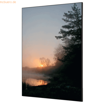 8596052181757 - Showdown Wanddekoration Set A1 Wald Sonnenaufgang 8596052181757 Showdown Displays 8596052181757 - Showdown Wanddekoration Set A1 Wald Sonnenaufgang 8596052181757 Showdown Displays