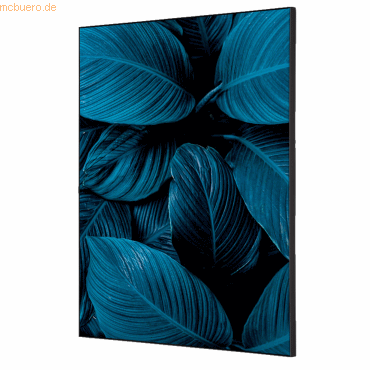 8596052181856 - Showdown Wanddekoration Set A2 Blätter bl 8596052181856 Showdown Displays