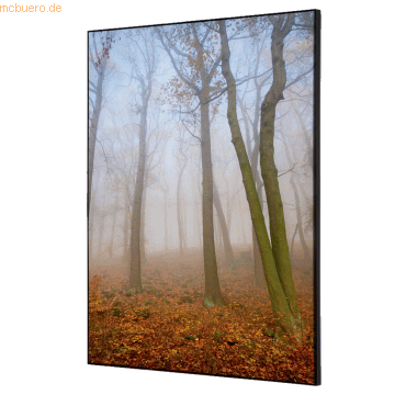 8596052181993 - Showdown Wanddekoration Set A2 Herbstnebel 8596052181993 Showdown Displays 8596052181993 - Showdown Wanddekoration Set A2 Herbstnebel 8596052181993 Showdown Displays
