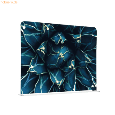8596052183652 - Showdown Raumteiler 150x150cm Kaktus bl 8596052183652 Showdown Displays