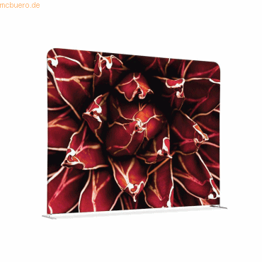 8596052183706 - Showdown Raumteiler 200x150cm Kaktus rt 8596052183706 Showdown Displays