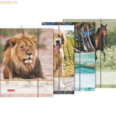 4003273688834 - 10 x Sammelmappe A4 Karton Tiere 4003273688834 - 10 x Sammelmappe A4 Karton Tiere