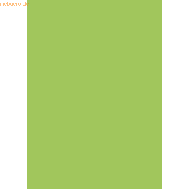 4003273250147 - 5 x Universalpapier A4 160g hellgrün VE=25 Blatt