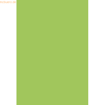 4003273250079 - 5 x Universalpapier A4 120g hellgrün VE=35 Blatt 4003273250079 - 5 x Universalpapier A4 120g hellgrün VE=35 Blatt
