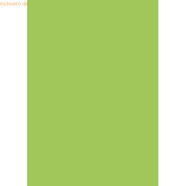 4003273250000 - 5 x Universalpapier A4 80g hellgrün VE=50 Blatt