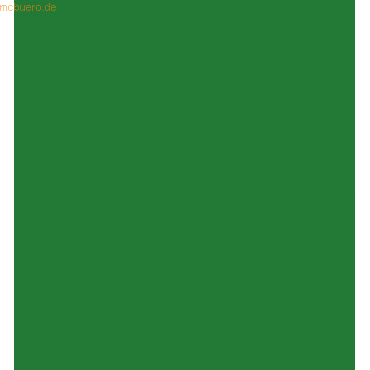 4003273582095 - 5 x Universalpapier A4 80g dunkelgrün VE=50 Blatt