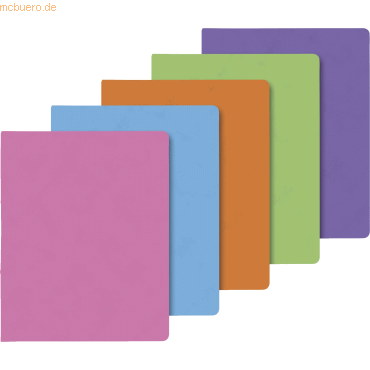 4003273620483 - 10 x Ringbuch Fact!pp A4 15mm 4 Ringe sortiert 4003273620483 - 10 x Ringbuch Fact!pp A4 15mm 4 Ringe sortiert