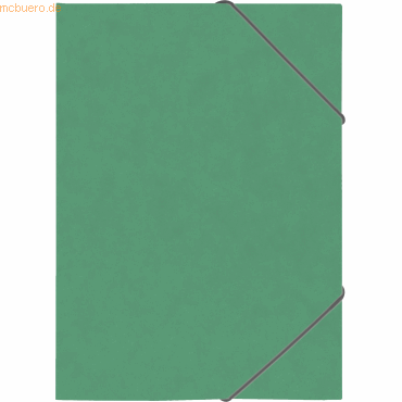 4003273620995 - 10 x Ringbuch Fact! plus A4 Pressspankarton 15mm 2 Ringe grün 4003273620995 - 10 x Ringbuch Fact! plus A4 Pressspankarton 15mm 2 Ringe grün