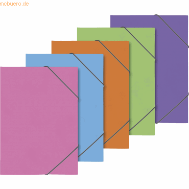 4003273621206 - 10 x Ringbuch Fact! plus A4 Pressspankarton 15mm 2 Ringe sorti 4003273621206 - 10 x Ringbuch Fact! plus A4 Pressspankarton 15mm 2 Ringe sorti