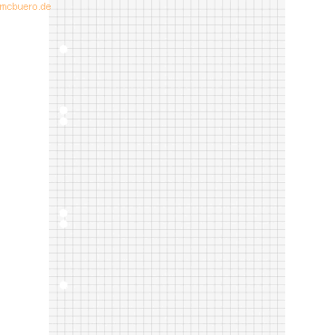 10 x Brunnen Ringbucheinlagen A5 kariert 50 Blatt