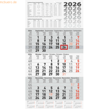 4061947142075 - 3 x 3-Monatskalender Wandkalender 30x58cm einteilig 2026 4061947142075 - 3 x 3-Monatskalender Wandkalender 30x58cm einteilig 2026