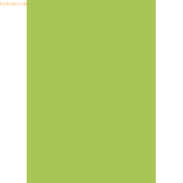 4005329089510 - 10 x Plakatkarton 380g qm 48x68cm maigrün 4005329089510 - 10 x Plakatkarton 380g qm 48x68cm maigrün