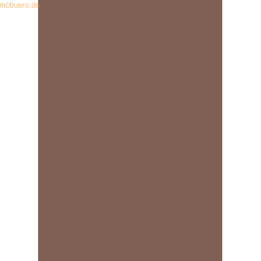 4005329053245 - 10 x Plakatkarton 380g qm 48x68cm mittelbraun 4005329053245 - 10 x Plakatkarton 380g qm 48x68cm mittelbraun