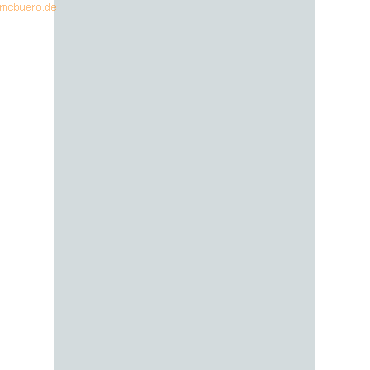 4005329086663 - 10 x Plakatkarton 380g qm 48x68cm hellgrau 4005329086663 - 10 x Plakatkarton 380g qm 48x68cm hellgrau