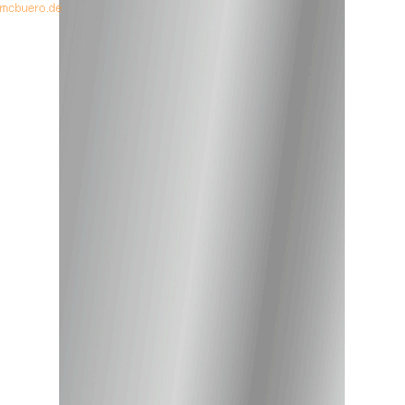 4005329053320 - 10 x Plakatkarton 380g qm 48x68cm silber 4005329053320 - 10 x Plakatkarton 380g qm 48x68cm silber