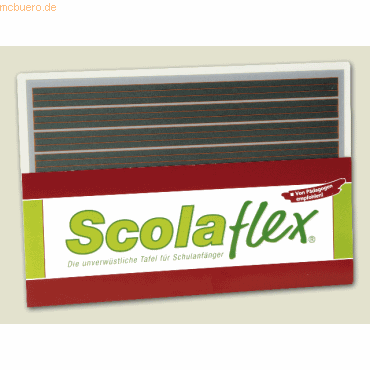 10 x Heyda Schülertafel Scolaflex L1A 265x180mm grün