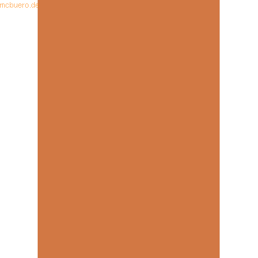 4005329056185 - 100 x Tonpapier 130g qm A4 (21x30cm) orange