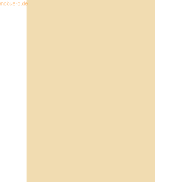 4005329059469 - 50 x Fotokarton 300g qm A4 (21x296cm) beige