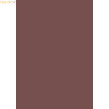 4005329060120 - 50 x Fotokarton 300g qm A4 (21x296cm) schokobraun 4005329060120 - 50 x Fotokarton 300g qm A4 (21x296cm) schokobraun
