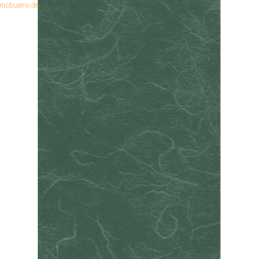 4005329060700 - 25 x Strohseide 25g m 50x70cm farngrün