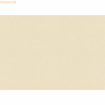 4005329061240 - 10 x Universalkarton 220g qm 50x70cm chamois 4005329061240 - 10 x Universalkarton 220g qm 50x70cm chamois