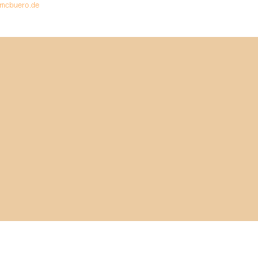 4005329062520 - 10 x Tonpapier 130g qm 50x70cm apricot