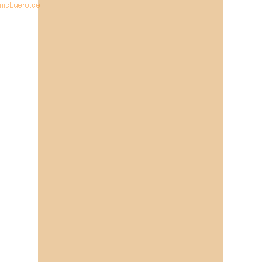 4005329104138 - 100 x Tonpapier 130g qm A4 apricot