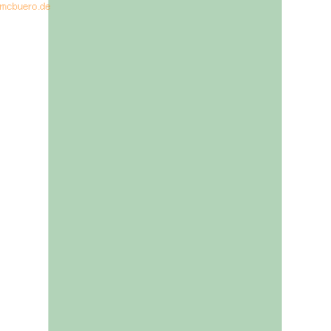 4005329131851 - 100 x Tonpapier 130g qm A4 mint 4005329131851 - 100 x Tonpapier 130g qm A4 mint