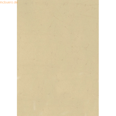 4005329065781 - 100 x Elefantenhaut A4 110 g qm chamois